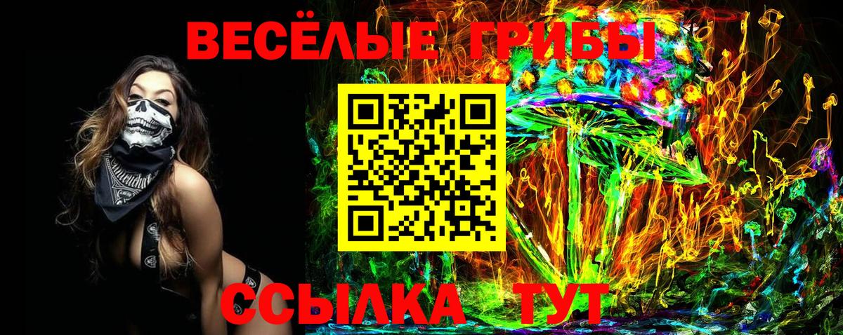 Галлюциногенные грибы ЛСД Урус-Мартан